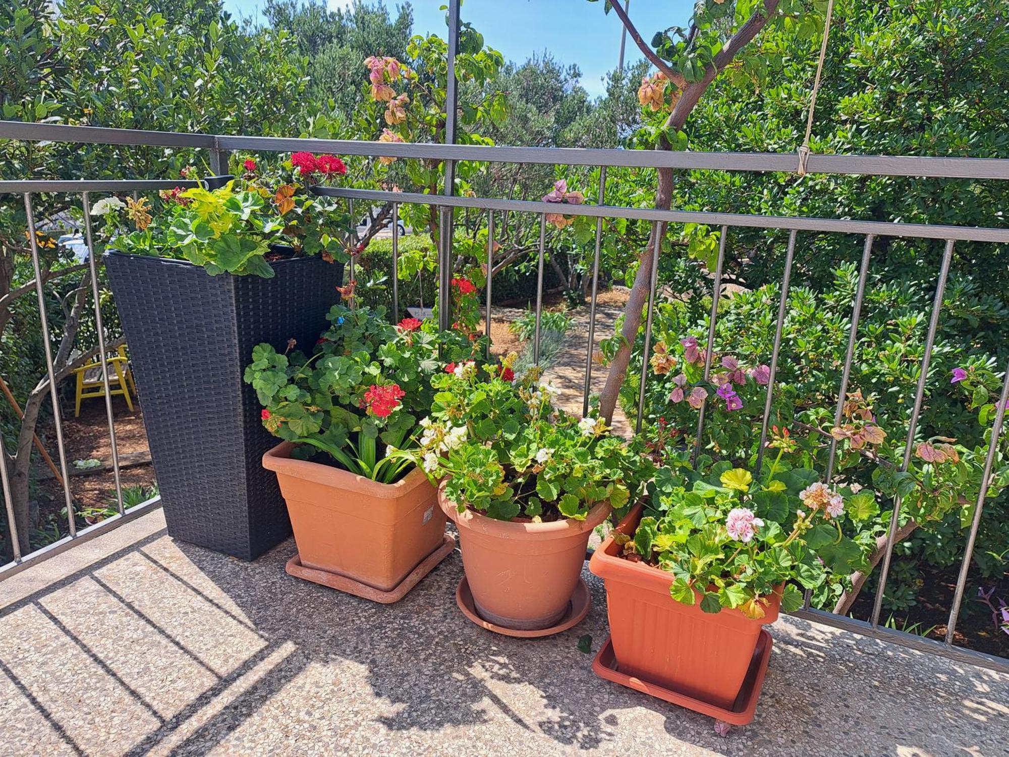 Apartman Dida Jakov Primosten Exterior photo